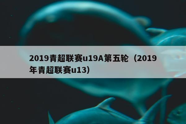 2019青超联赛u19A第五轮（2019年青超联赛u13）