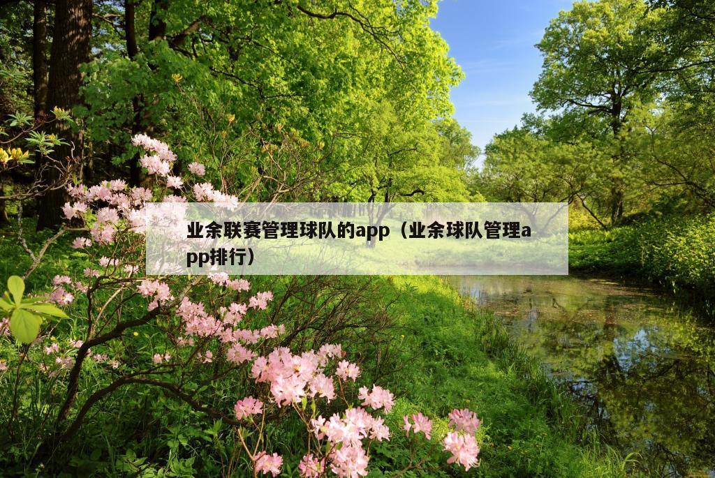 业余联赛管理球队的app（业余球队管理app排行）