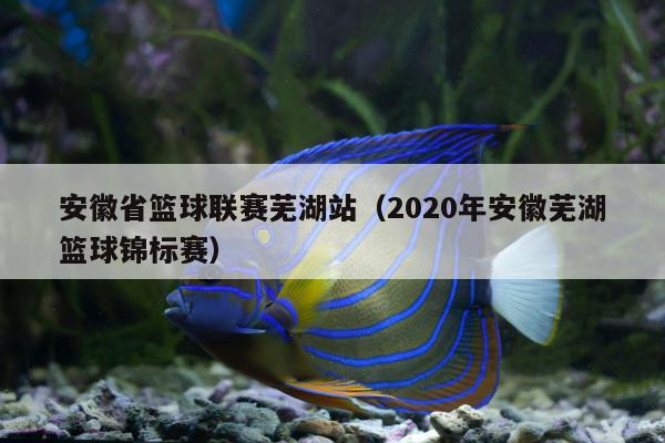 安徽省篮球联赛芜湖站（2020年安徽芜湖篮球锦标赛）