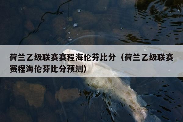 荷兰乙级联赛赛程海伦芬比分（荷兰乙级联赛赛程海伦芬比分预测）