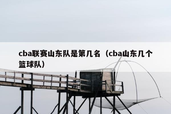 cba联赛山东队是第几名（cba山东几个篮球队）