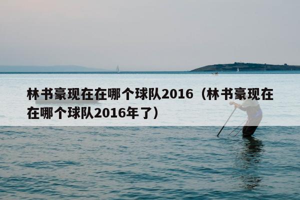 林书豪现在在哪个球队2016（林书豪现在在哪个球队2016年了）