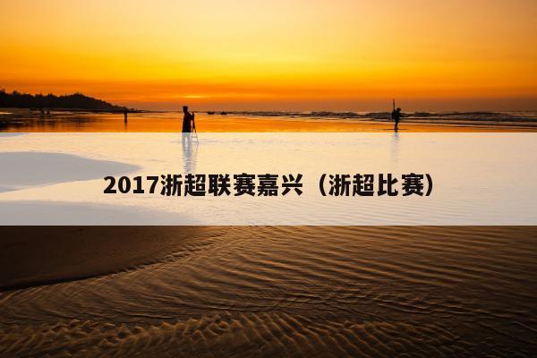 2017浙超联赛嘉兴（浙超比赛）