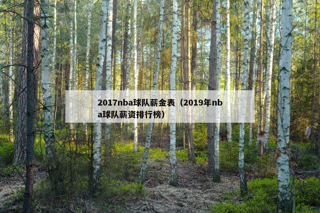 2017nba球队薪金表（2019年nba球队薪资排行榜）