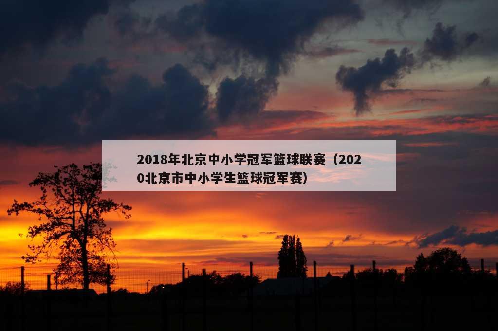 2018年北京中小学冠军篮球联赛（2020北京市中小学生篮球冠军赛）