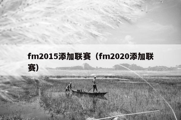 fm2015添加联赛（fm2020添加联赛）