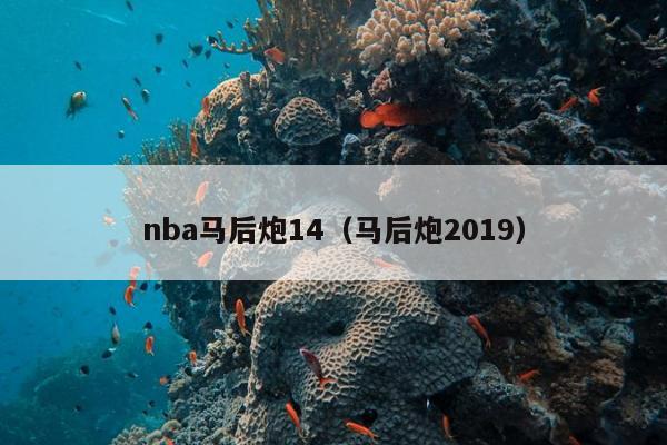 nba马后炮14（马后炮2019）