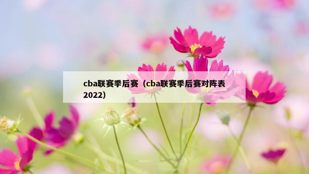 cba联赛季后赛（cba联赛季后赛对阵表2022）