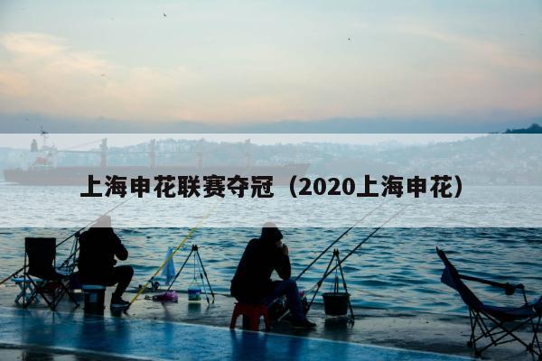 上海申花联赛夺冠（2020上海申花）