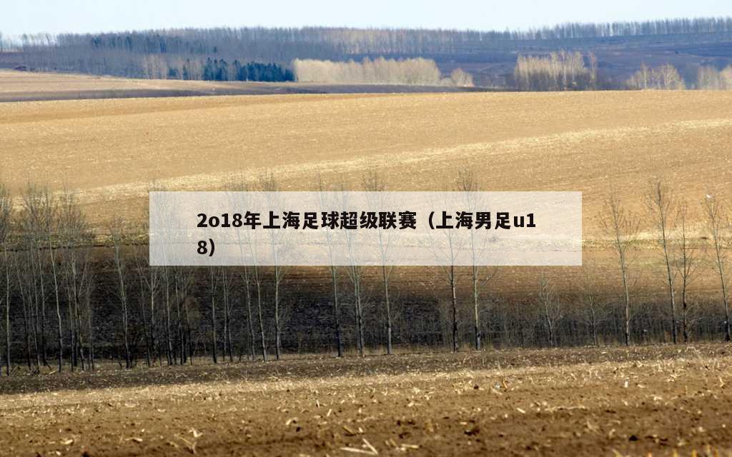 2o18年上海足球超级联赛（上海男足u18）