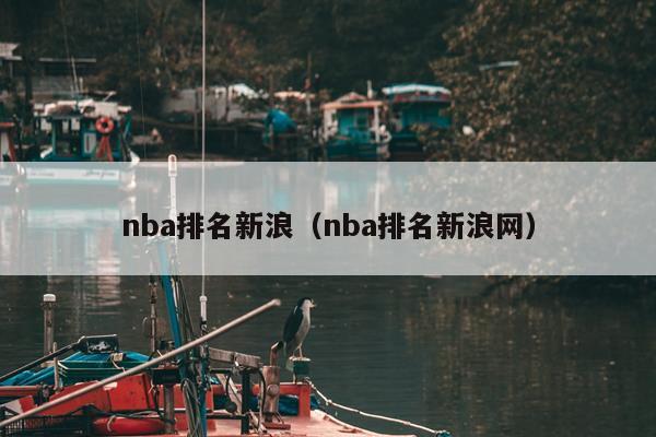 nba排名新浪（nba排名新浪网）