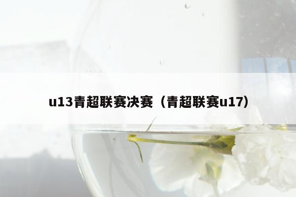 u13青超联赛决赛（青超联赛u17）