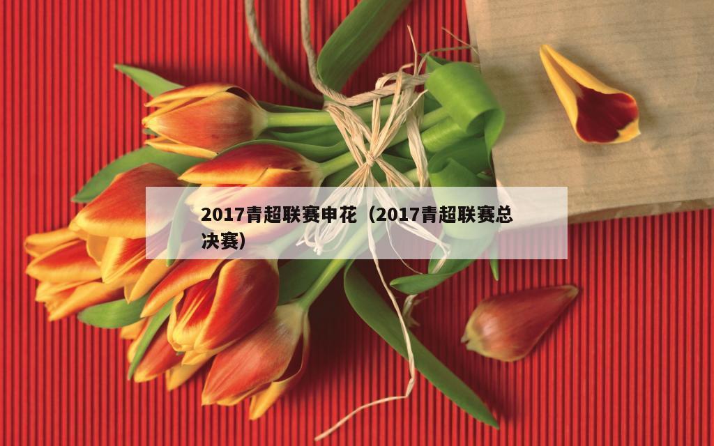 2017青超联赛申花（2017青超联赛总决赛）
