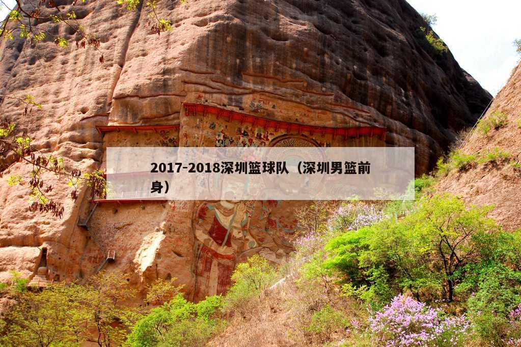 2017-2018深圳篮球队（深圳男篮前身）