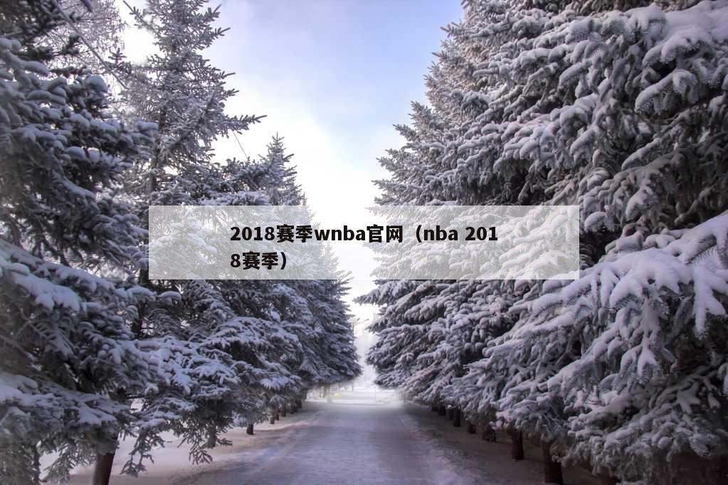 2018赛季wnba官网（nba 2018赛季）