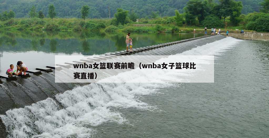 wnba女篮联赛前瞻（wnba女子篮球比赛直播）