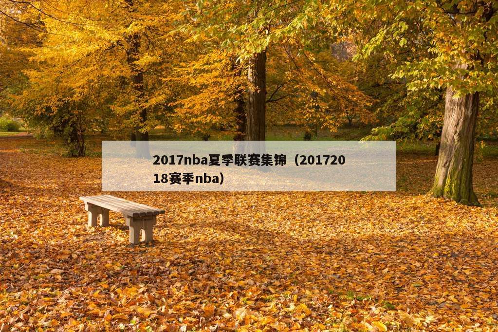 2017nba夏季联赛集锦（20172018赛季nba）