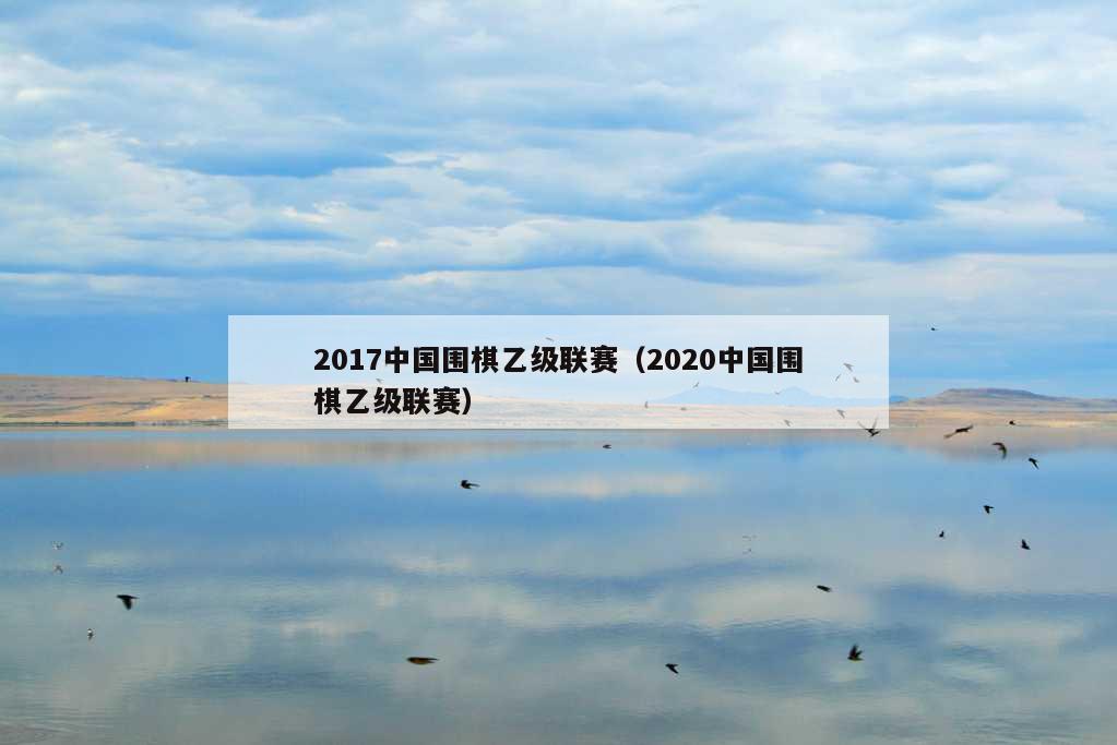 2017中国围棋乙级联赛（2020中国围棋乙级联赛）