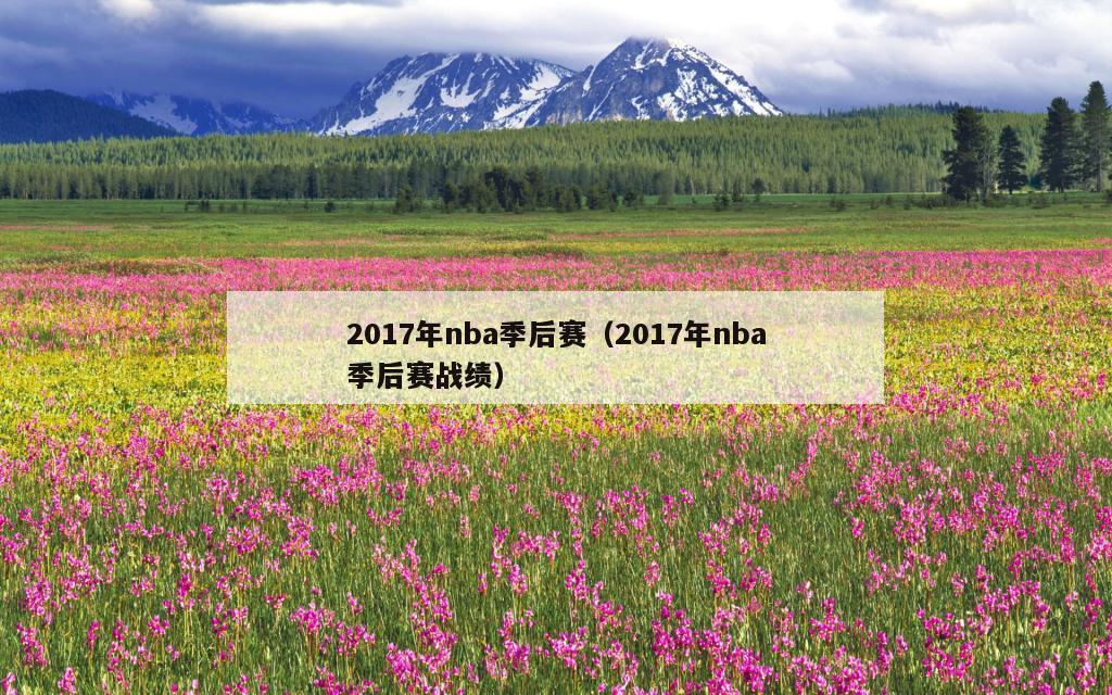 2017年nba季后赛（2017年nba季后赛战绩）