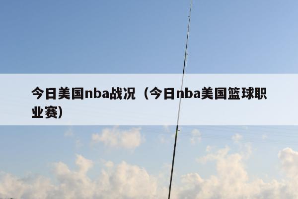 今日美国nba战况（今日nba美国篮球职业赛）