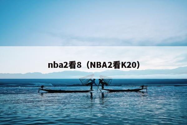 nba2看8（NBA2看K20）