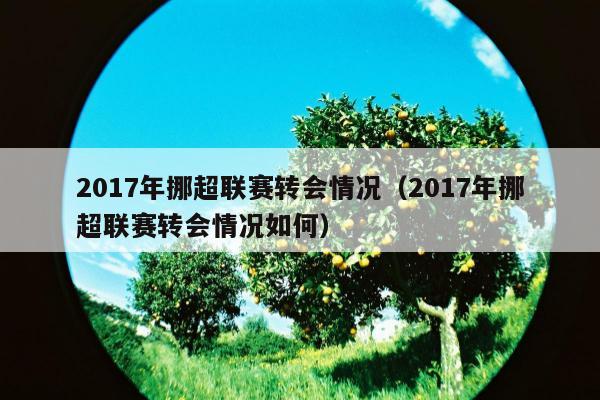 2017年挪超联赛转会情况（2017年挪超联赛转会情况如何）