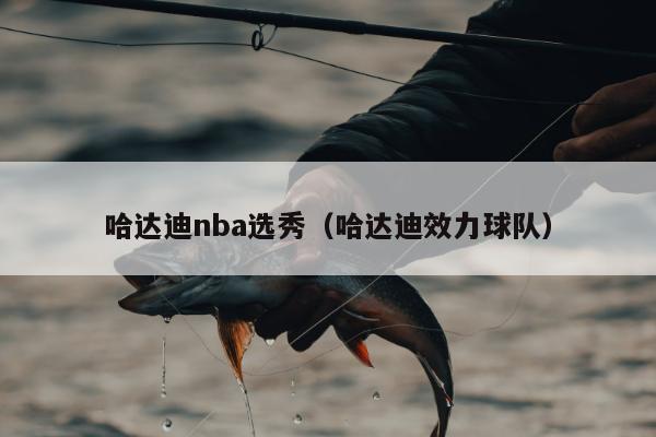 哈达迪nba选秀（哈达迪效力球队）