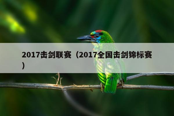 2017击剑联赛（2017全国击剑锦标赛）