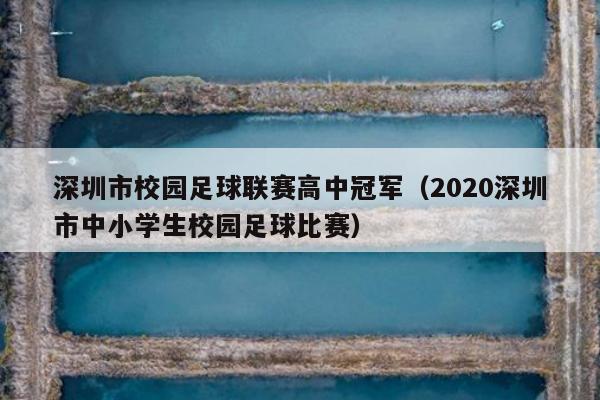 深圳市校园足球联赛高中冠军（2020深圳市中小学生校园足球比赛）