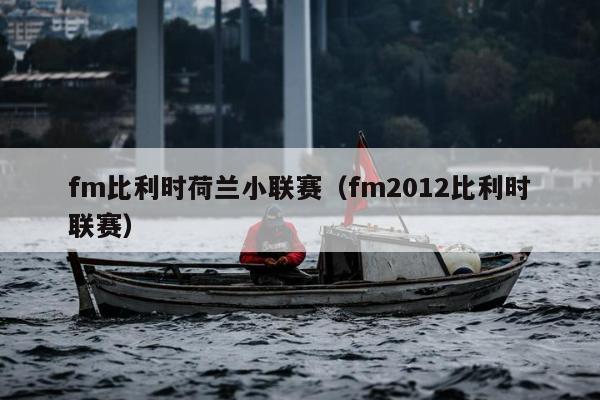 fm比利时荷兰小联赛（fm2012比利时联赛）