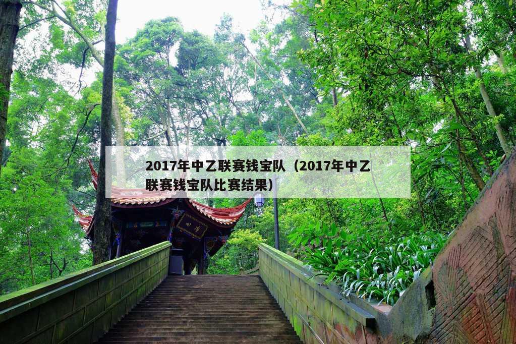 2017年中乙联赛钱宝队（2017年中乙联赛钱宝队比赛结果）