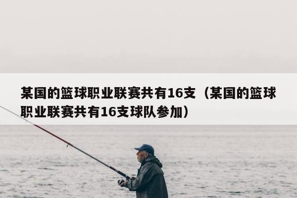 某国的篮球职业联赛共有16支（某国的篮球职业联赛共有16支球队参加）