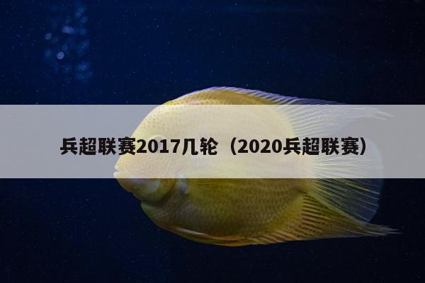 兵超联赛2017几轮（2020兵超联赛）