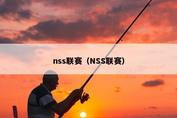 nss联赛（NSS联赛）