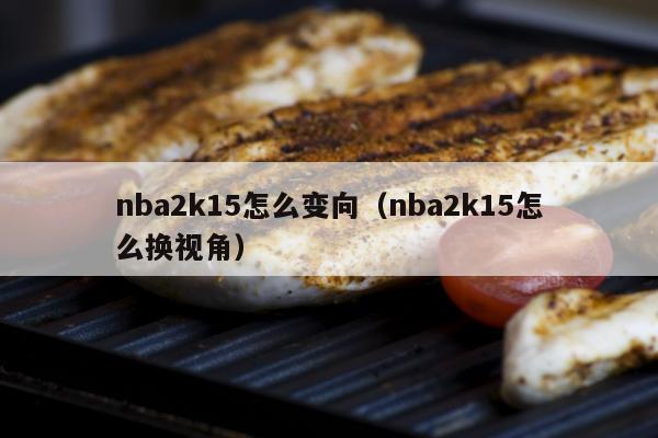 nba2k15怎么变向（nba2k15怎么换视角）