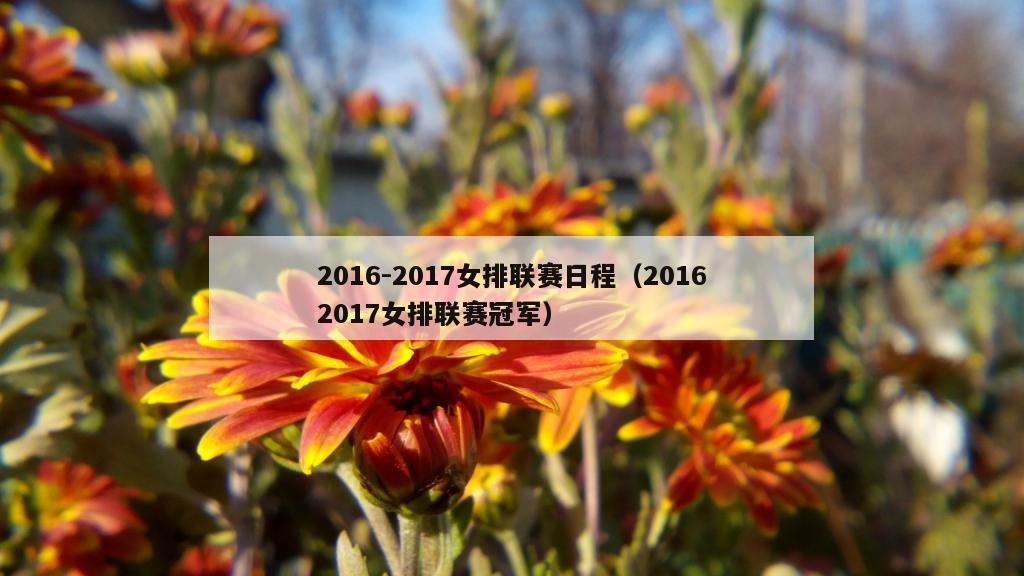 2016-2017女排联赛日程（20162017女排联赛冠军）