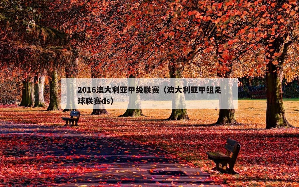 2016澳大利亚甲级联赛（澳大利亚甲组足球联赛ds）