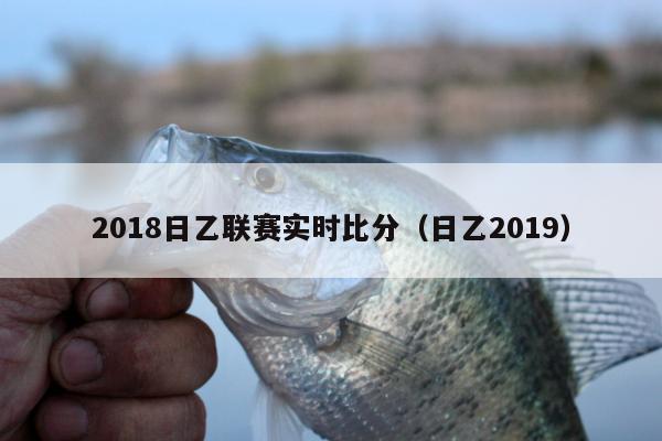 2018日乙联赛实时比分（日乙2019）