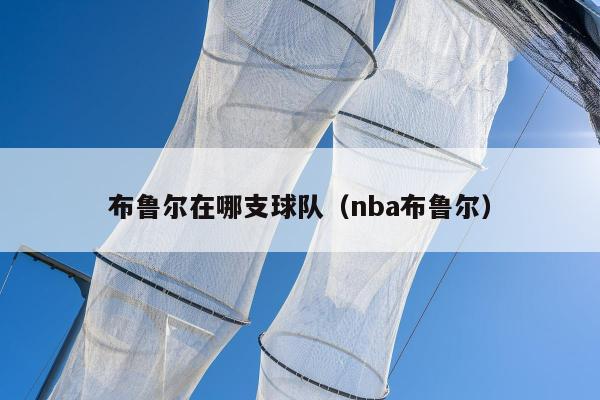 布鲁尔在哪支球队（nba布鲁尔）