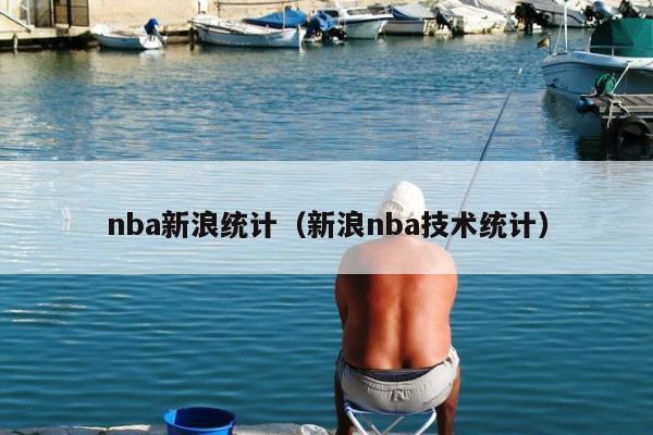 nba新浪统计（新浪nba技术统计）