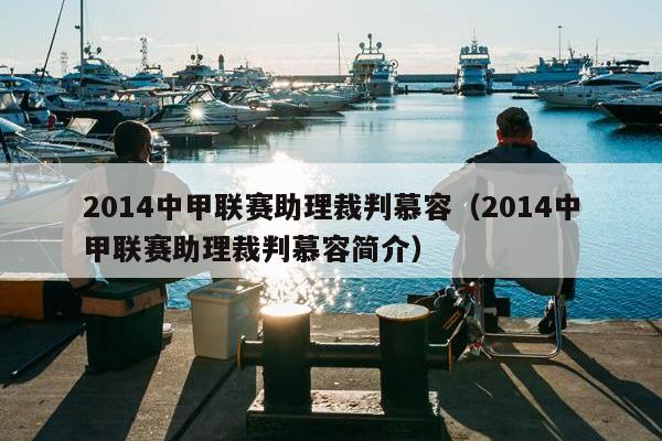 2014中甲联赛助理裁判慕容（2014中甲联赛助理裁判慕容简介）