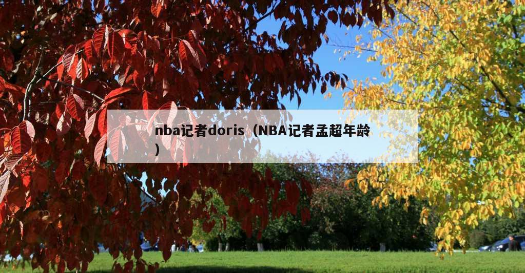 nba记者doris（NBA记者孟超年龄）