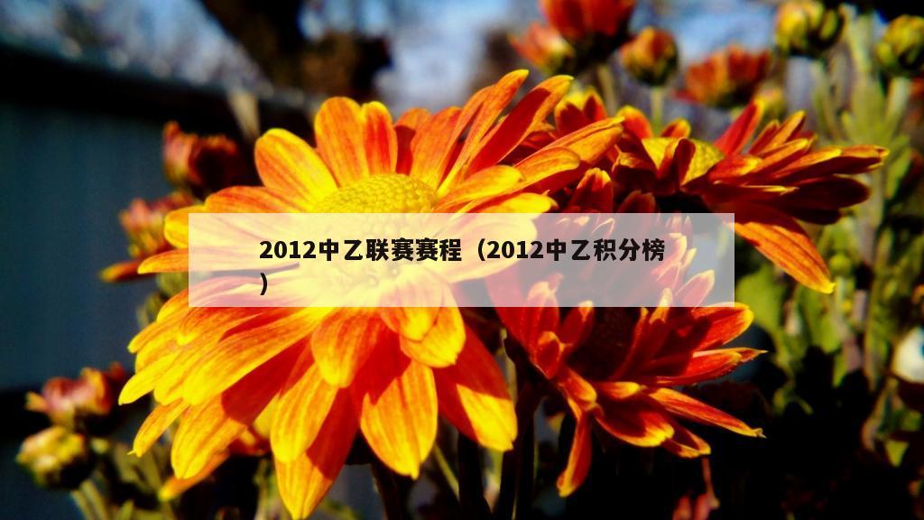 2012中乙联赛赛程（2012中乙积分榜）