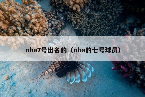 nba7号出名的（nba的七号球员）