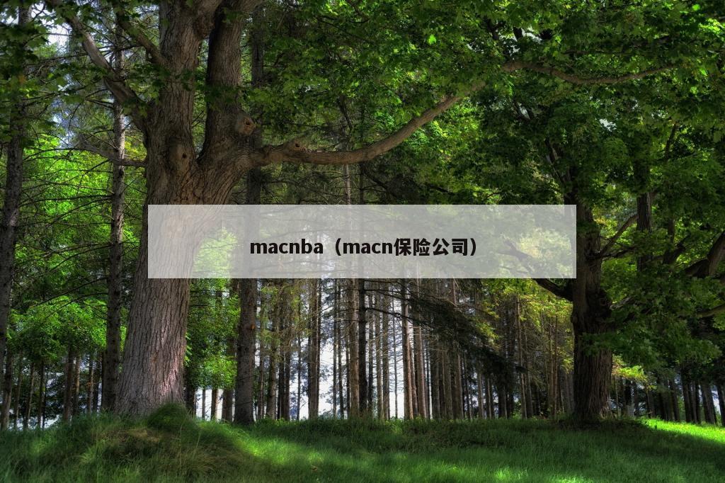 macnba（macn保险公司）