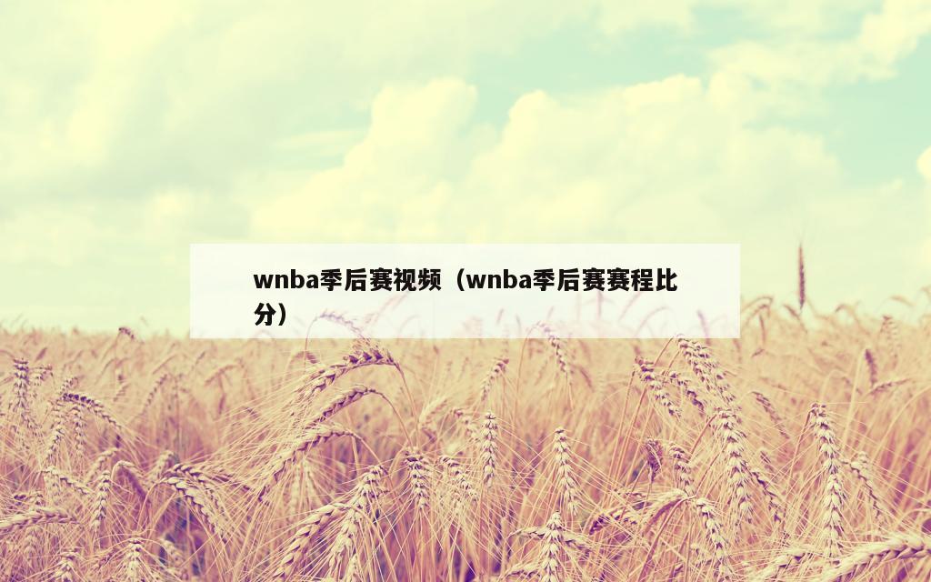 wnba季后赛视频（wnba季后赛赛程比分）