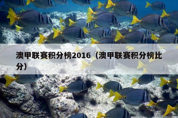 澳甲联赛积分榜2016（澳甲联赛积分榜比分）