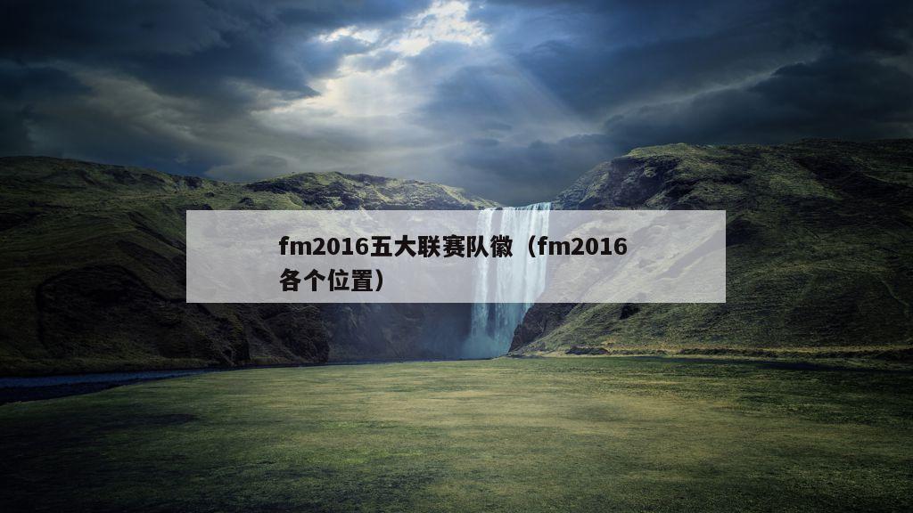 fm2016五大联赛队徽（fm2016 各个位置）