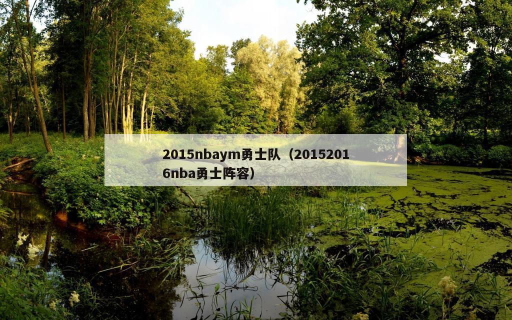 2015nbaym勇士队（20152016nba勇士阵容）