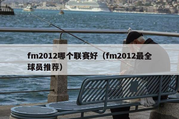 fm2012哪个联赛好（fm2012最全球员推荐）